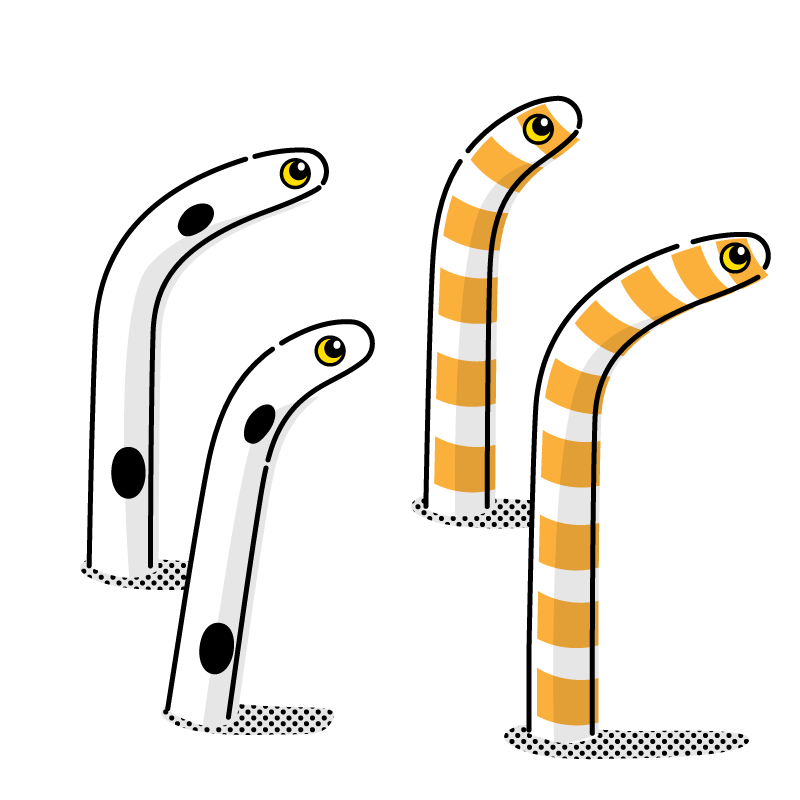 チンアナゴのイラスト